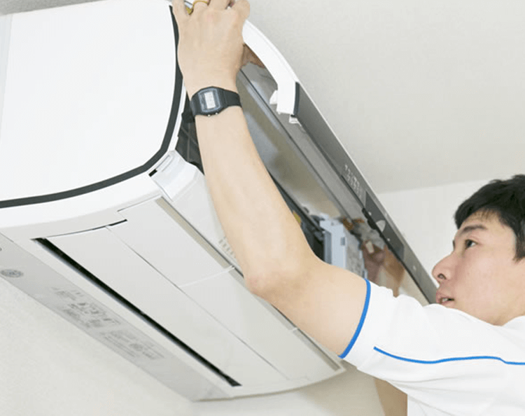 �����������������󥯥꡼�˥�