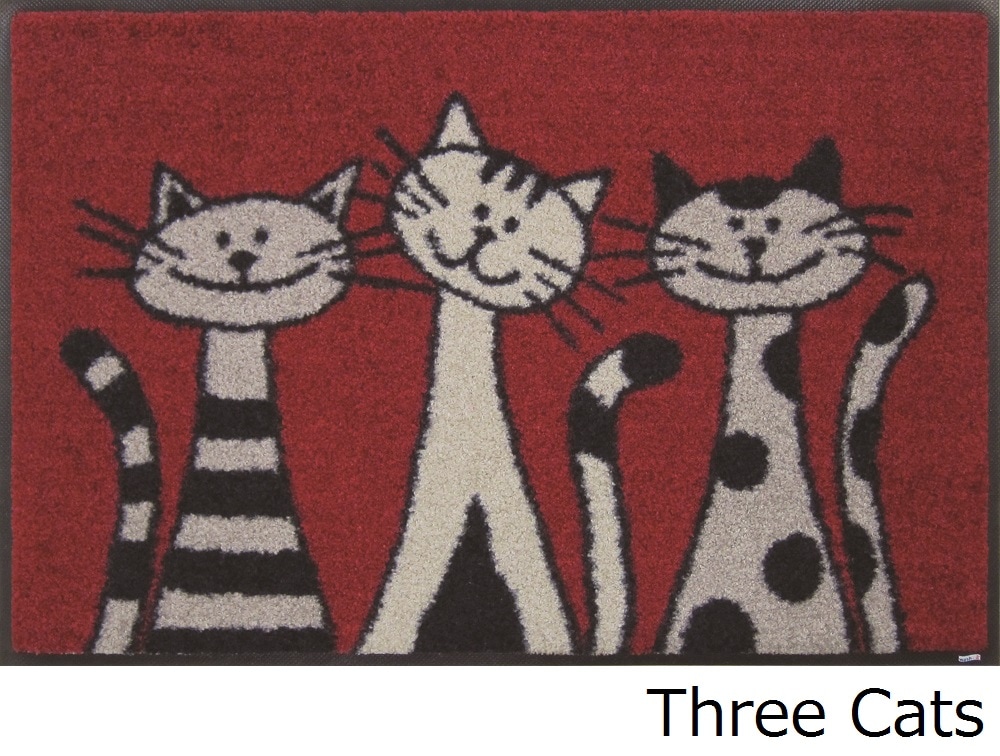 ���إޥåȡ�wash&dry 50��75��