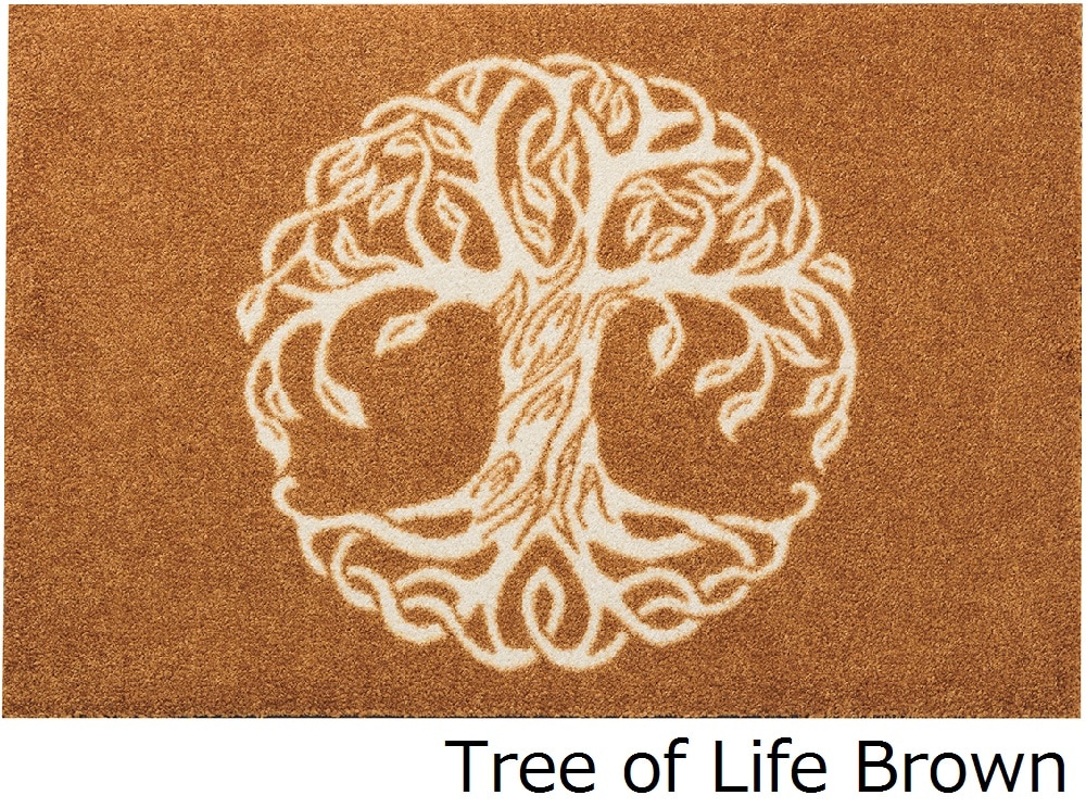 ���إޥåȡ�wash&dry 50��75��