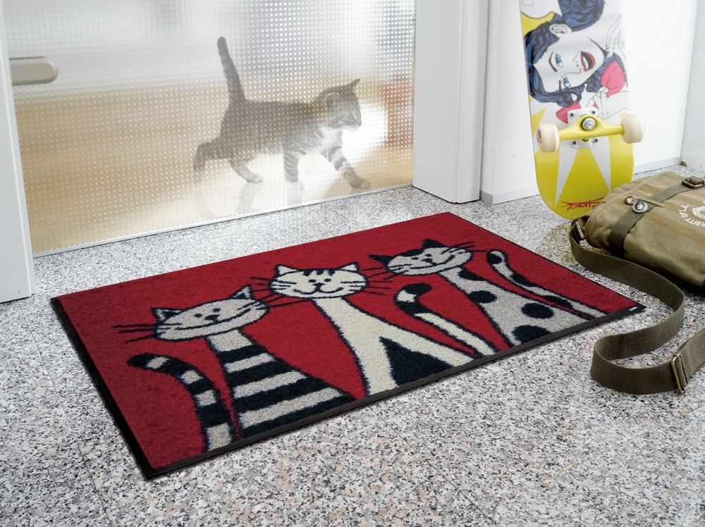 ���إޥåȡ�wash&dry 50��75��