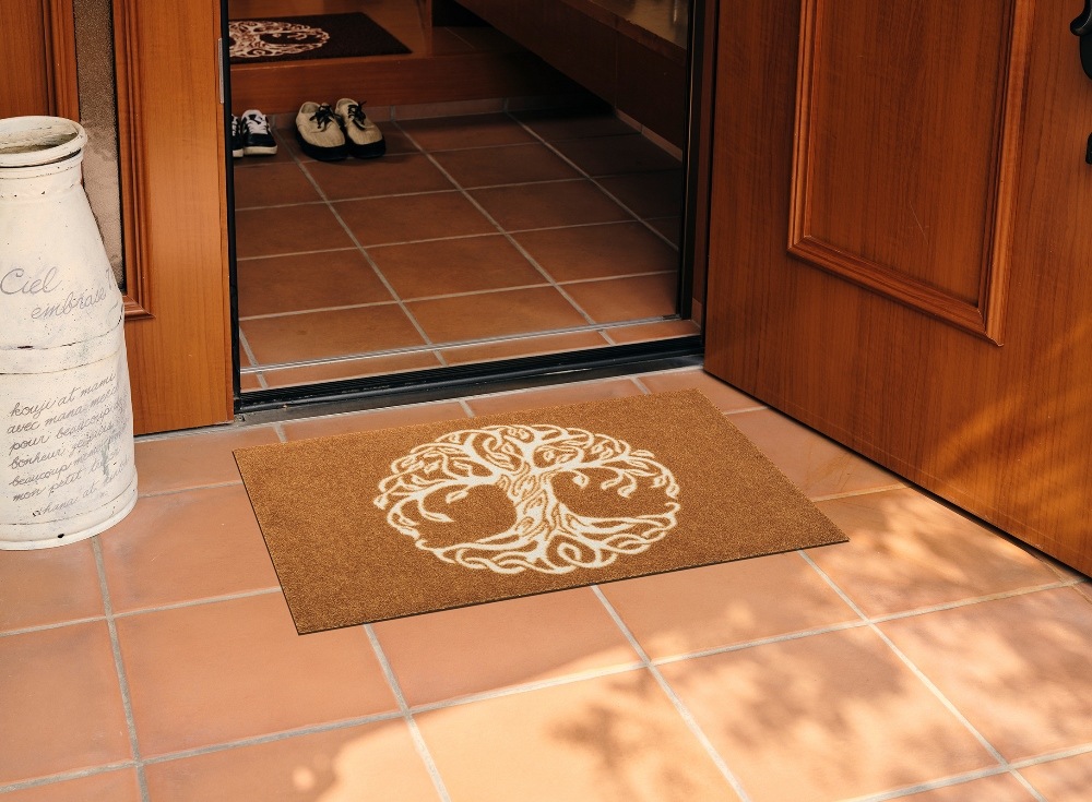 ���إޥåȡ�wash&dry 50��75��