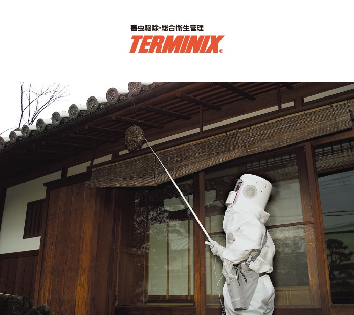 �������󡡥����ߥ˥å���������äζ����ͽ��