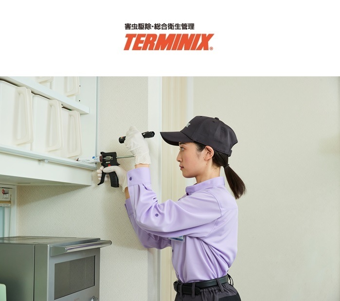 �������󡡥����ߥ˥å���������äζ����ͽ��