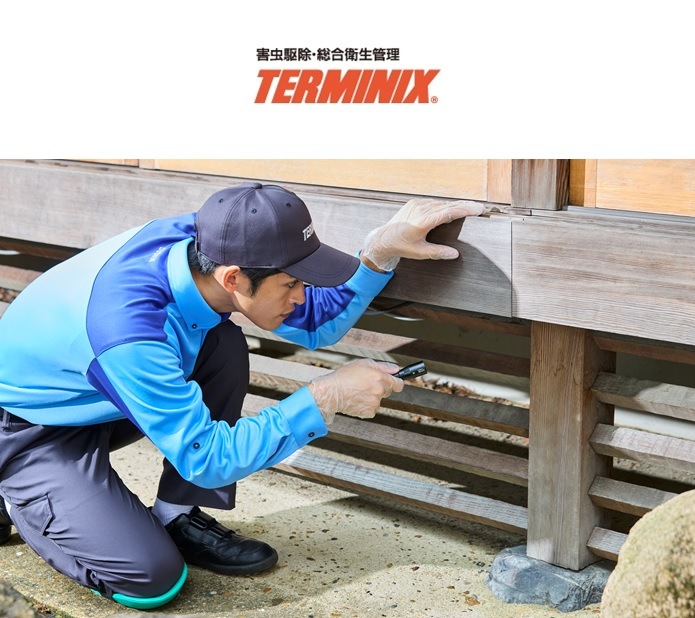 �������󡡥����ߥ˥å���������äζ����ͽ��