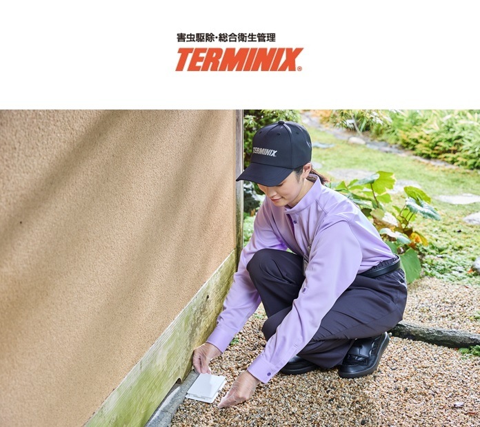 �������󡡥����ߥ˥å���������äζ����ͽ��