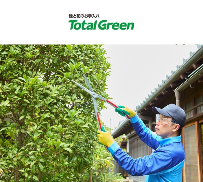 �������󡡥ȡ����륰�꡼�����ڤΤ�������