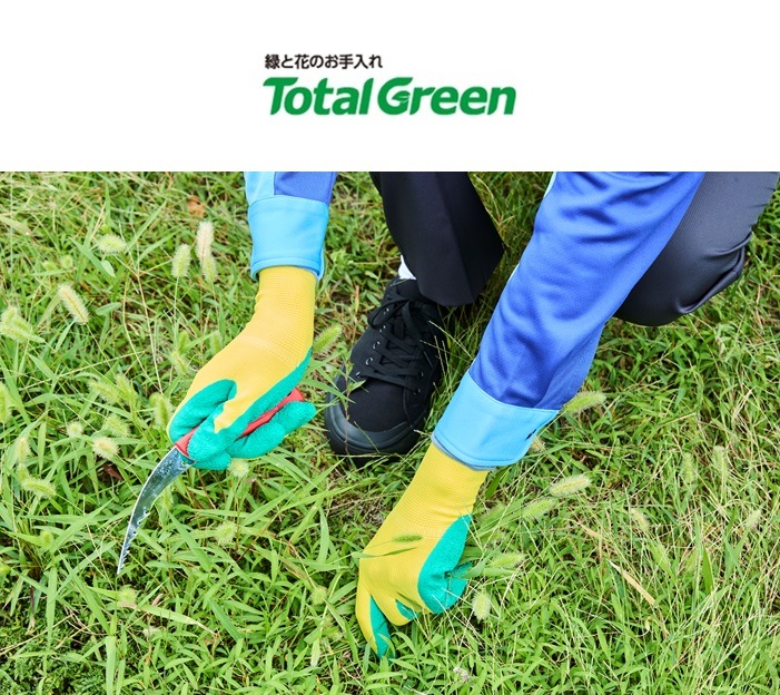 �������󡡥ȡ����륰�꡼�����ڤΤ�������