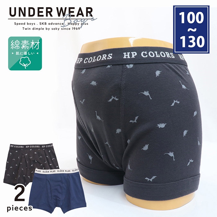 男児ボクサーパンツ(恐竜柄) 2枚組 100~130cm (5537) メール便OK【梱包サイズ７】