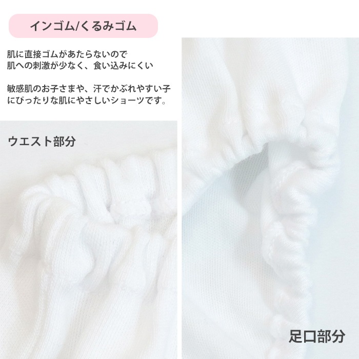 日本製 白無地ショーツ2枚組 90/100/110/120/130/140/150/160/170 女児