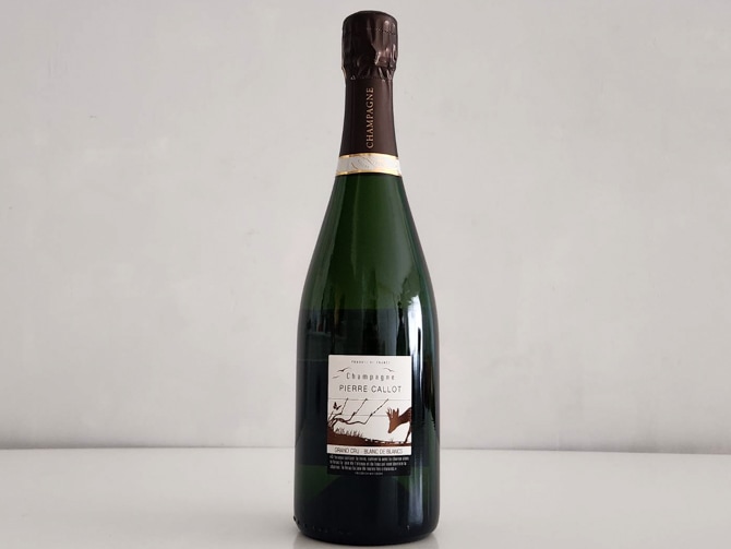 ѡ˥ ֥󡦥ɡ֥ 󡦥 ֥å S.A. ԥ롦ե롡ѡ˥ 750ml ե ȡǡ֥ ѡ󥰥磻 ƥʥ֥ǧ