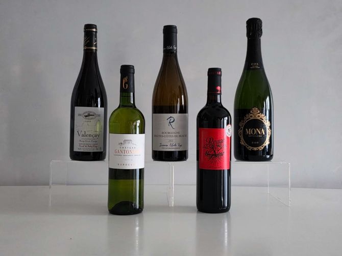 2025軻TWS磻ܥåȭǹ̾ﾦƱġ