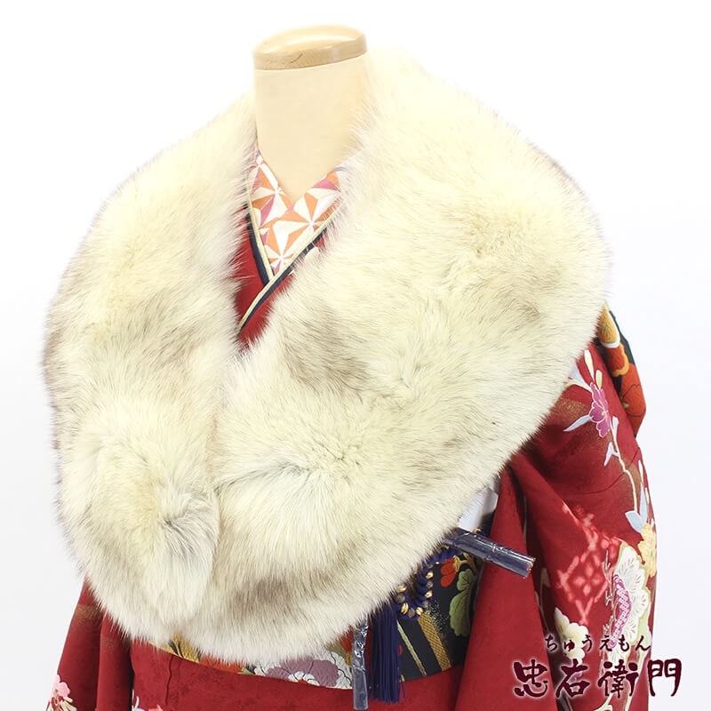 š 硼 SAGAFOX եå ꥵ ǥ 졼 ߥå Ĺ112cm 15cm ͼ  µ ɴ ꥵʪ б