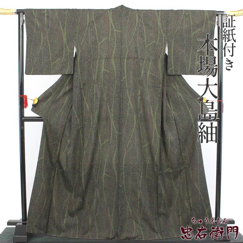 本場縞大島紬 大島紬 染大島紬 レディース 正絹 緑 抽象柄 身丈172cm 裄丈69.5cm 仕立て上がり着物 大きいサイズ ゆったりサイズ リサイクル着物 送料無料 【中古】