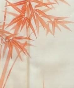 ������ڤ�ޤ���KFK�ۡ���š����� �� �������Ⱦ�155cm ���62cm  ư���ֹ�50607��������ʸ�Բġ�