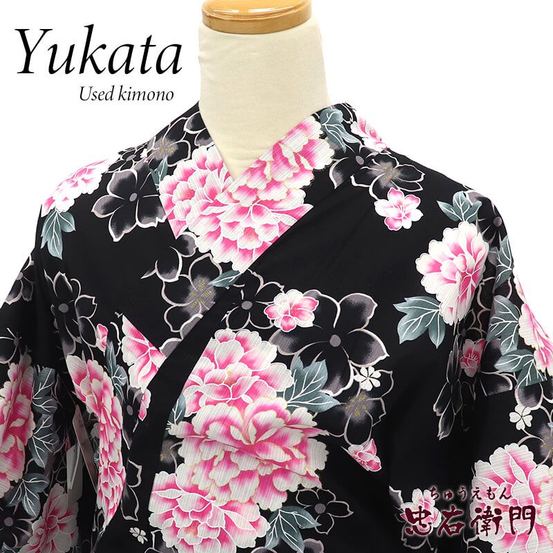 š ڿʡ  椫 ǥ   ԥ ð Ⱦ166cm 68cm ƺפ ֲ  ͥ ̥ ꥵʪ 桼ʪ ʪ ¨ȯ 