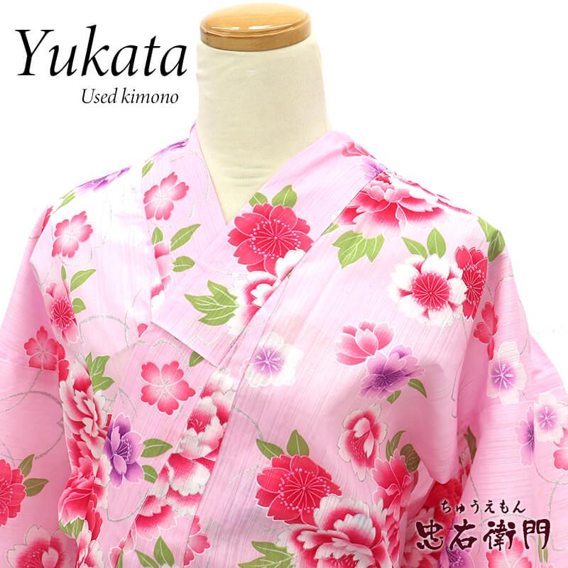 š ڿʡ  椫 ǥ  ԥ ð Ⱦ162.5cm 65cm ƺפ ֲ  ͥ ꥵʪ 桼ʪ ʪ ¨ȯ 