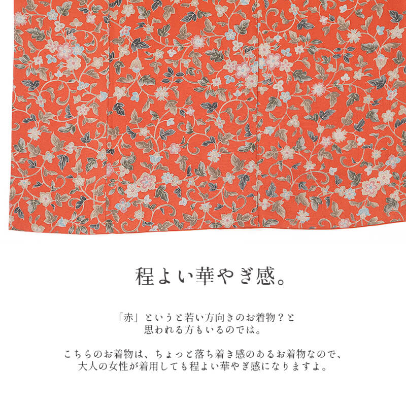 ���� ������ʪ ��ǥ����� ���� �� ��� Ǧ��ʸ �Ⱦ�163cm ���64cm ��Ω�ƾ夬����ʪ �����奢�� ��桼����ʪ �ꥵ��������ʪ ¨��ȯ�� ����š�