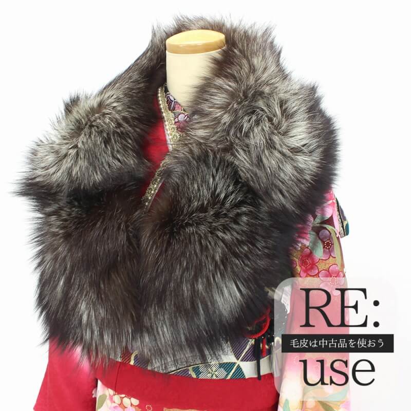 50OFFäӤ֥ôָۡš ե SAGAFOX եå 硼 ̤ ꥵ ʪ ͼ µ ǥ ֥饦 ̵ б