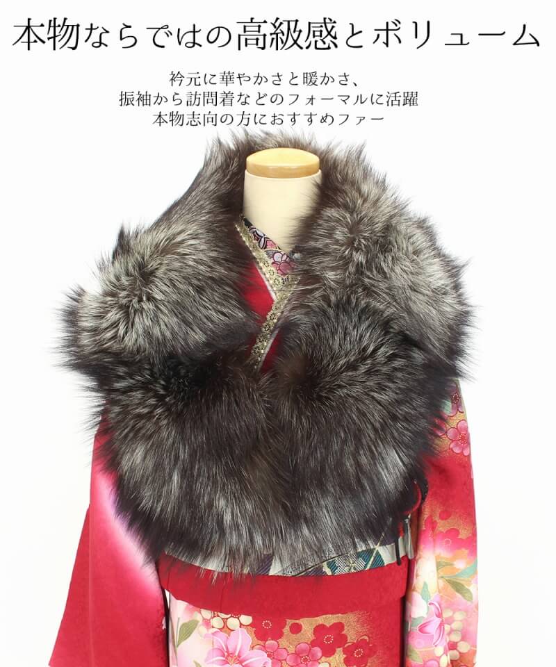 50OFFäӤ֥ôָۡš ե SAGAFOX եå 硼 ̤ ꥵ ʪ ͼ µ ǥ ֥饦 ̵ б