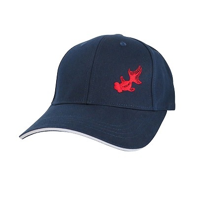  åȥ󥭥å  ͥӡɽå