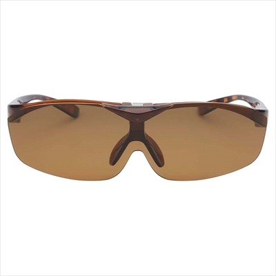 �и����󥰥饹 �ϥͥ��������� FMP-01-2 �֥饦��ǥߡ��֥饦��