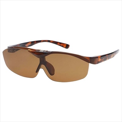 �и����󥰥饹 �ϥͥ��������� FMP-01-2 �֥饦��ǥߡ��֥饦��