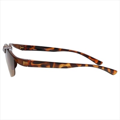 �и����󥰥饹 �ϥͥ��������� FMP-01-2 �֥饦��ǥߡ��֥饦��