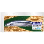 またたび水産 サンマ （中） 【×2セット】 (セレクト品)