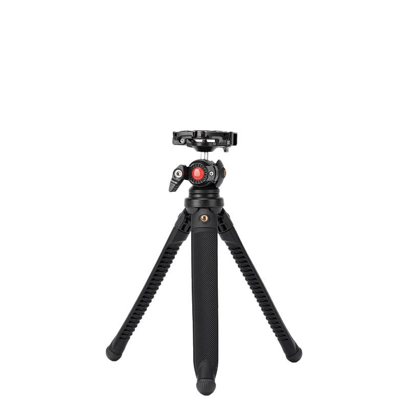 新品 | Saeda Direct Shop