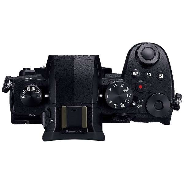 や*ぎ様 パナソニックLUMIX　DC-G99D　ボディ　美品　シャッター回数1 や*ぎ様 パナソニックLUMIX DC-G99D ボディ 美品 シャッター回数