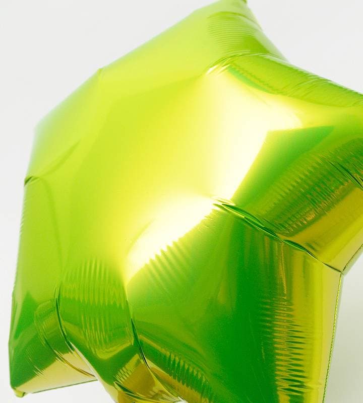 ưʪ�����ȥ饤�॰�꡼�󥹥������֥롼�ɥåȤΥե������ȥС����ǡ���1�ͤ��������ΥХ롼�������ˤλҡ�