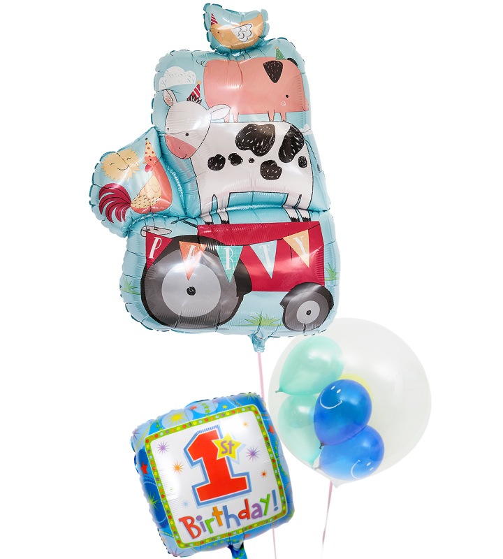 ưʪ�����ȥ֥롼�ϥץ��Х롼��Υե������ȥС����ǡ���1�ͤ��������ΥХ롼�������ˤλҡ�