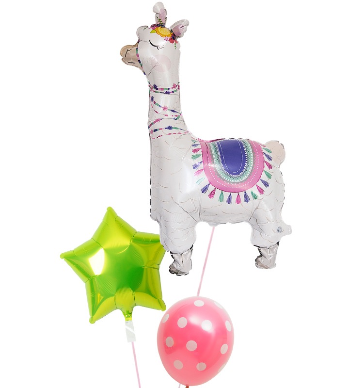 ̴���륢��ѥ��ȥ饤�॰�꡼�󥹥������ԥ󥯥ɥåȡڤ��ˤ���ѡ��ƥ����ΥХ롼������������