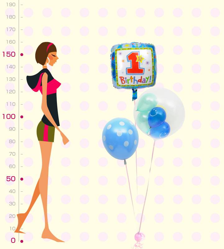 �פ����ޥ���ȥ֥롼�ɥåȤΥե������ȥС����ǡ���1�ͤ��������ΥХ롼�������ˤλҡ�