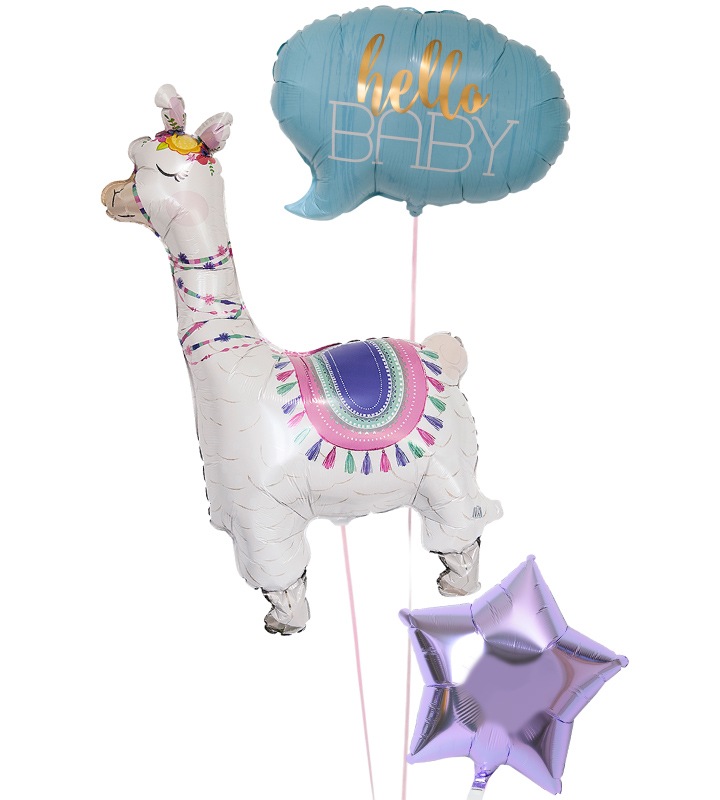 ϥ٥ӡʥ֥롼ˤ̴륢ѥ٥ڽлˤΥХ롼 ˤλҡ