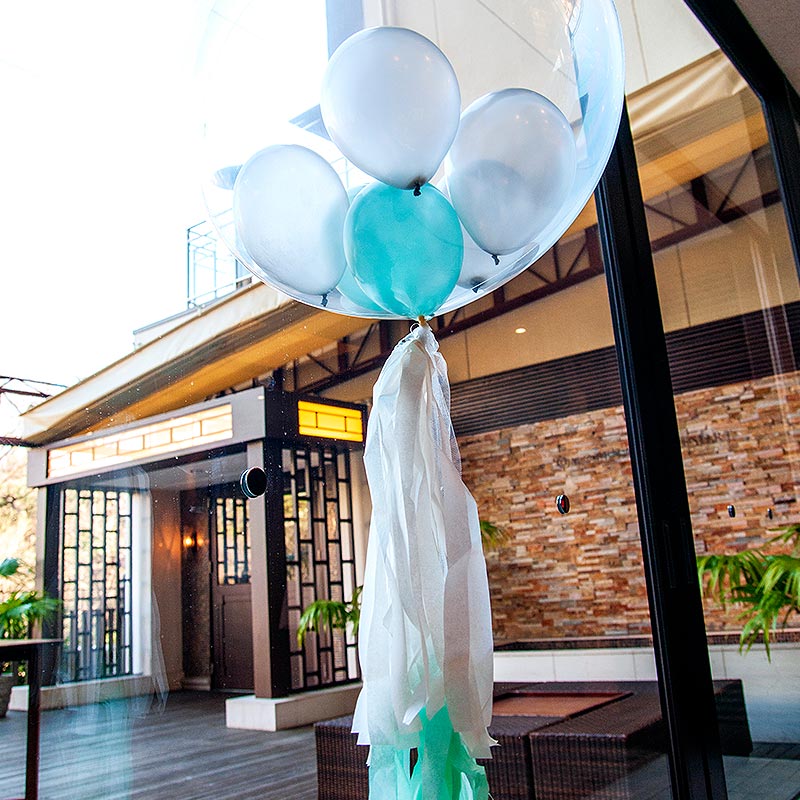 ���󥵥������Х롼��T555������С��ߥߥ�ȡڥե�󥸥Х롼�� �뺧���������������٥�ȡ�