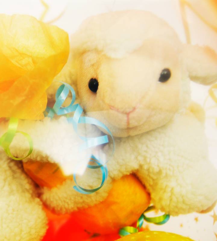 ��åԥ󥰥Х롼������ɤ���֥����סʤҤĤ������ˤ��Ϥ��뤪��ĥ��������ڽл��ˤ��ΥХ롼�������