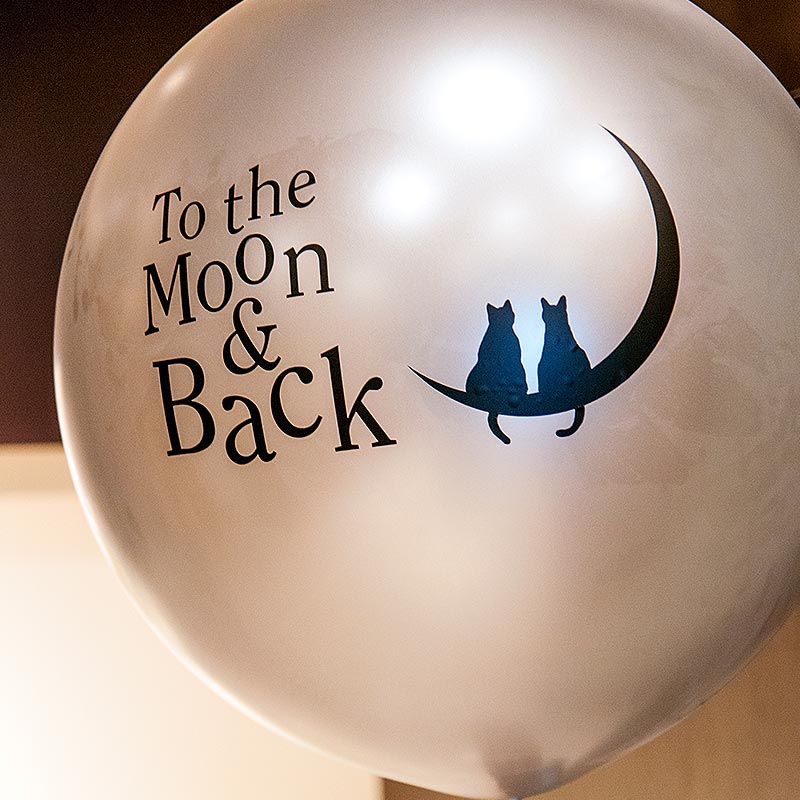 ʸ졡ե󥸥Х롼30СߥСǥԿ˥Х롼ǥХ꡼ۡʹ衦衦Ķ衦衦ܹ衦ɶ衦ë衦ʤɡ