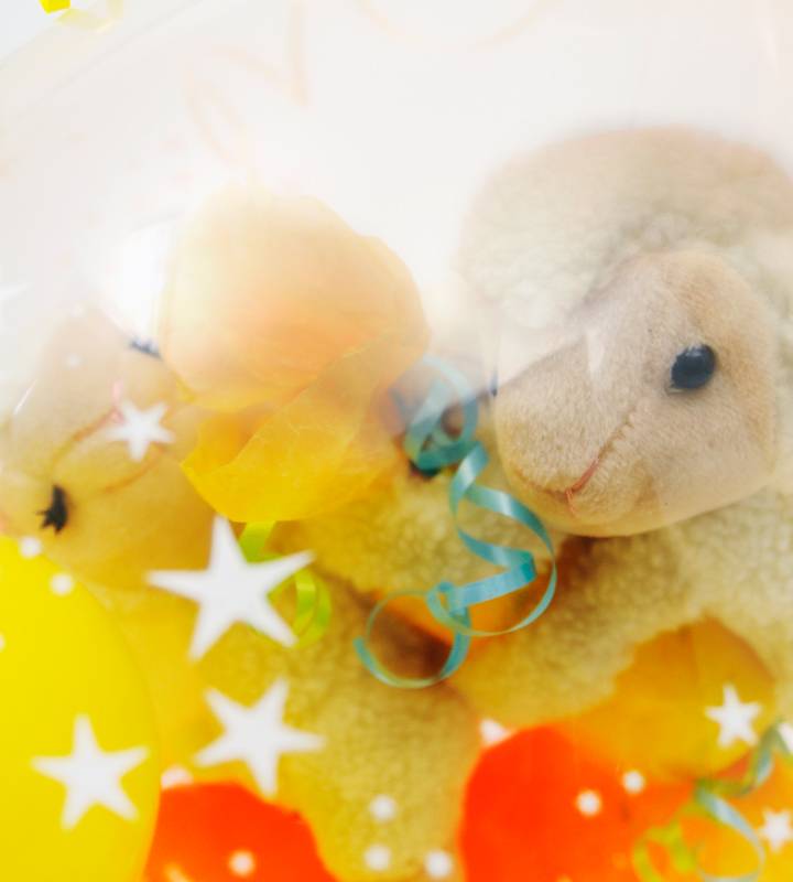 ��åԥ󥰥Х롼������ɤ���֥����סʤҤĤ������ˤ��Ϥ��뤪��ĥ��������ڽл��ˤ��ΥХ롼�������