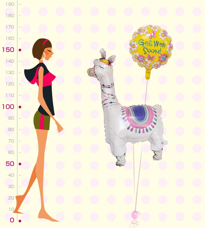 ե̴륢ѥڤ񤤤ΥХ롼