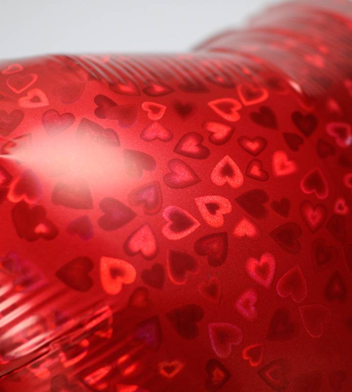 �ϡ��ȷ������ĥ����ɥ��դ��������ȥ��֥�ϡ��ȥХ롼����������ΥХ롼�������