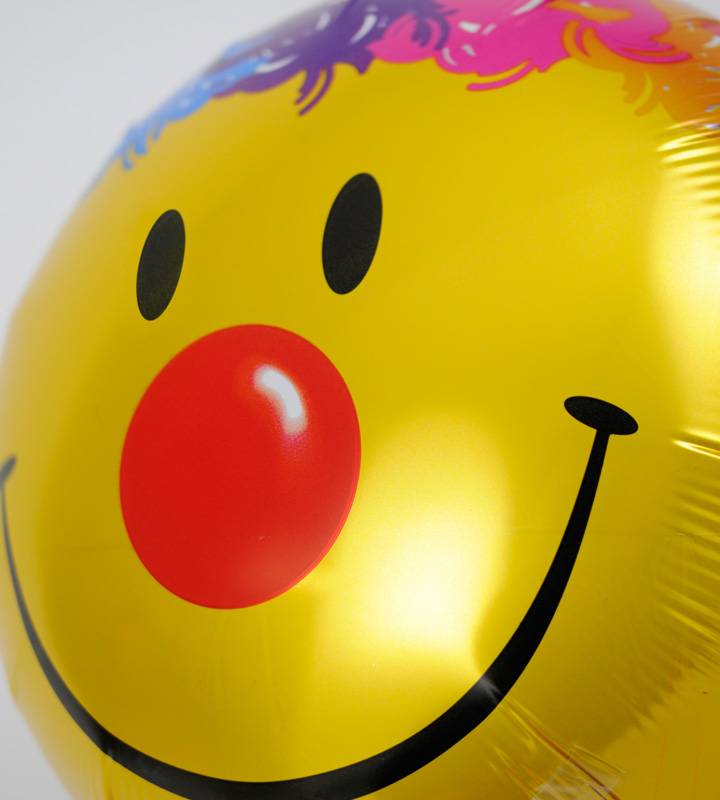 �ѡ��ƥ������ޥ���Υե������ȥС����ǡ���1�ͤ��������ΥХ롼�������ˤλҡ�