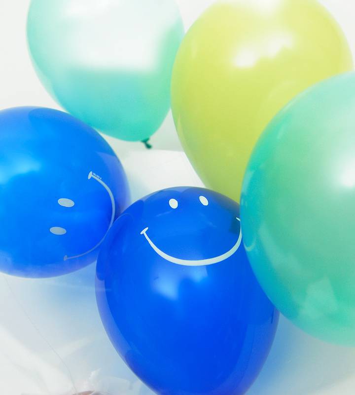 �פ����ޥ���ȥ֥롼�ɥåȤΥե������ȥС����ǡ���1�ͤ��������ΥХ롼�������ˤλҡ�