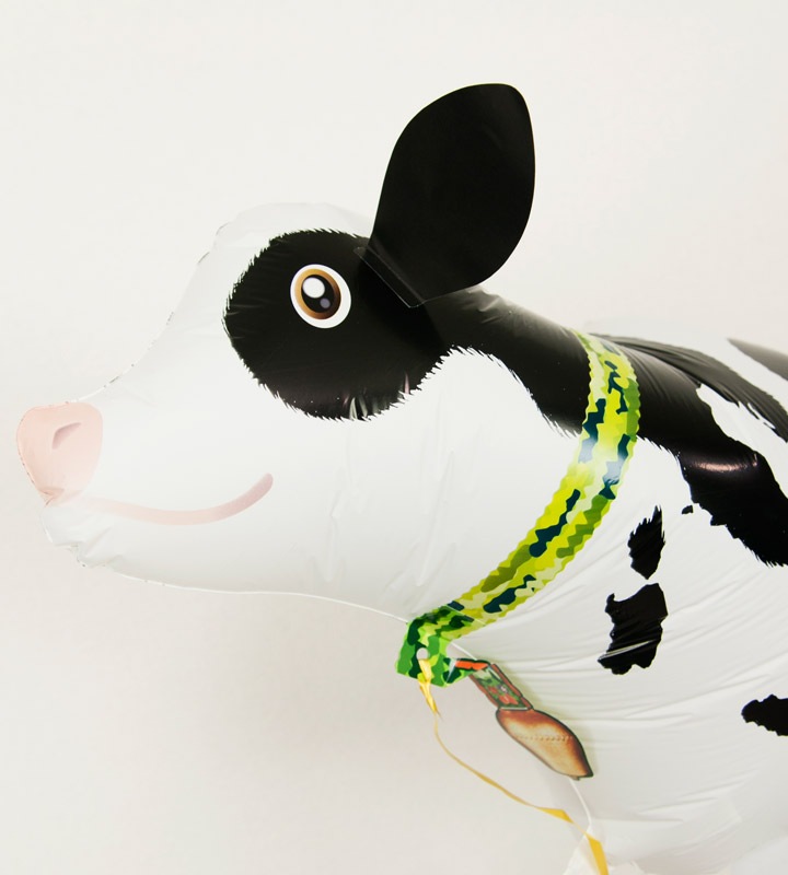 �����ȥ֥롼�����������������������ڤ��ˤ���ѡ��ƥ����ΥХ롼������������