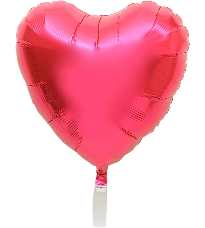 פޥȥԥ󥯥ɥåȤȥԥ󥯥ϡȤΥեȥСǡ1ͤΥХ롼󡦽λҡ