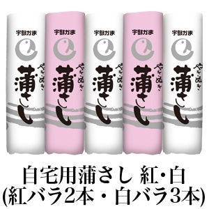 ڱޥ֥ɡۼѳȡʹȥХ2ܡХ3ܡ