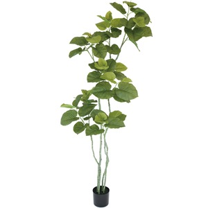 �͹����տ�ʪ���ե��������꡼�󡡥���٥顼����2100���ڿ͹����տ�ʪ��¤�֡�