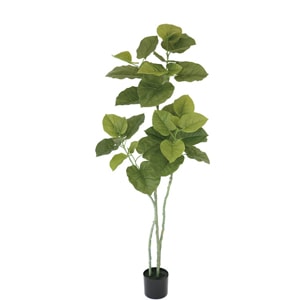 �͹����տ�ʪ���ե��������꡼�󡡥���٥顼����1550���ڿ͹����տ�ʪ��¤�֡�