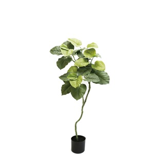 �͹����տ�ʪ���ե��������꡼�󡡥���٥顼����1250���͹����տ�ʪ��¤�֡�