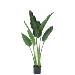 人工観葉植物 フェイクグリーン オーガスタ 1150 【フェイクグリーン 人工観葉植物 フェイクグリーン オーガスタ 1150 【フェイクグリーン